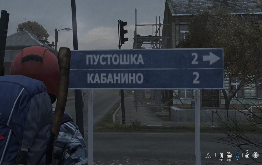 placas-dayz